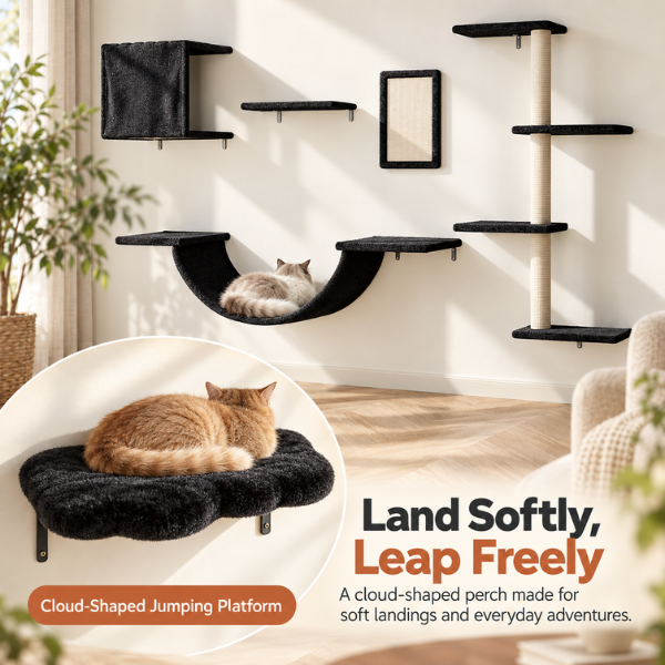 AUVANOM® Skywalk Cat Wall Set