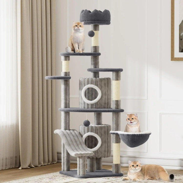 Cat Trees & Towers