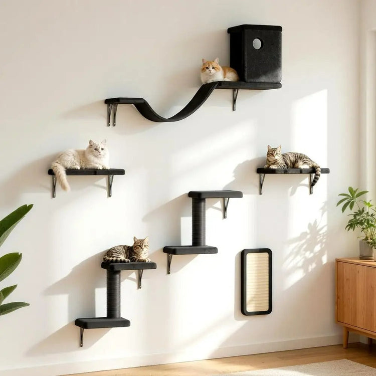 Cat Perches & Shelves
