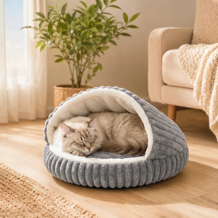 Cat Bed