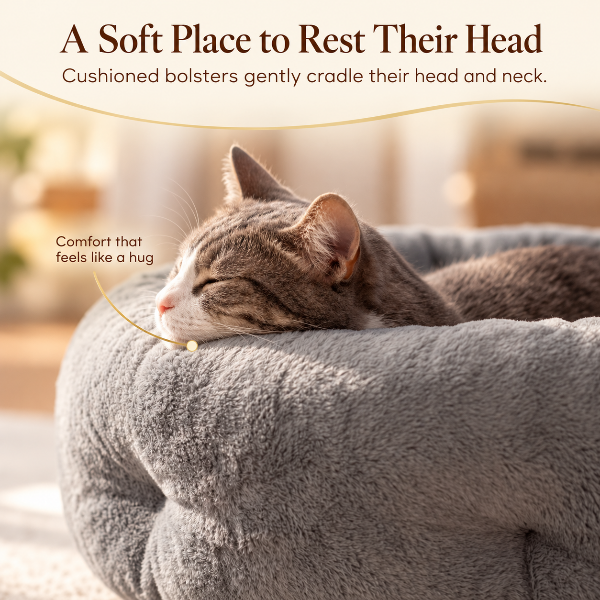 AUVANOM® Cuddle Cat Bed